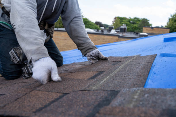 Best Roof Replacement Cost  in Mount Hore, WI