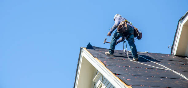 Best Roof Gutter Cleaning  in Mount Hore, WI